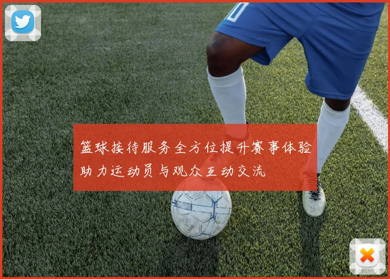 篮球接待服务全方位提升赛事体验助力运动员与观众互动交流