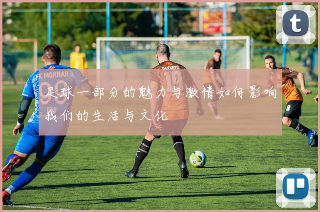 足球一部分的魅力与激情如何影响我们的生活与文化
